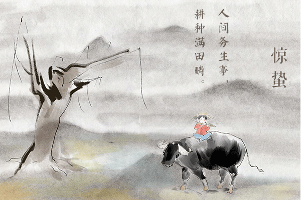 11.gif