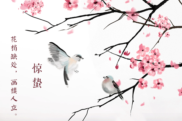 10.gif