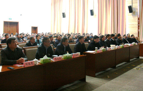 555l.jpg